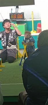 おさるランド＆アニタウン　日光さる軍団劇場に投稿された画像（2024/11/12）