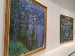 モネ 睡蓮のとき（国立西洋美術館）に投稿された画像（2024/11/12）