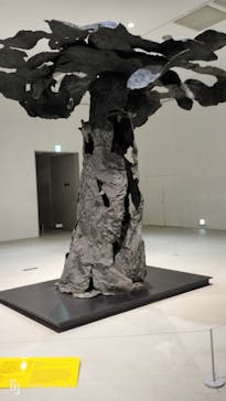 彫刻の森美術館に投稿された画像（2024/11/12）