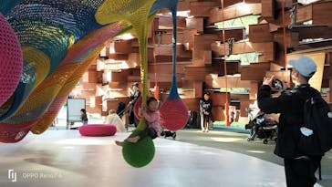 彫刻の森美術館に投稿された画像（2024/11/12）