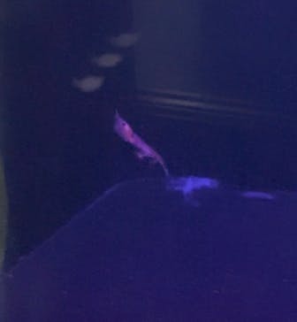 名古屋港水族館に投稿された画像（2024/11/12）