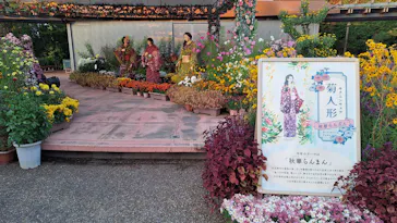 ひらかたパークに投稿された画像（2024/11/12）