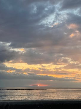 葉山ダイビングサービスに投稿された画像（2024/11/12）