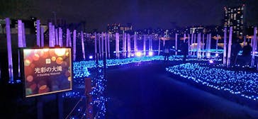 東京メガイルミに投稿された画像（2024/11/12）