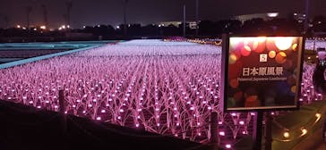 東京メガイルミに投稿された画像（2024/11/12）