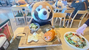 伊豆シャボテン動物公園に投稿された画像（2024/11/12）