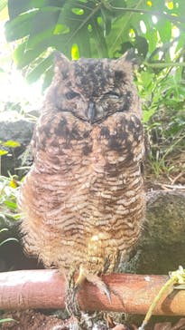 伊豆シャボテン動物公園に投稿された画像（2024/11/12）