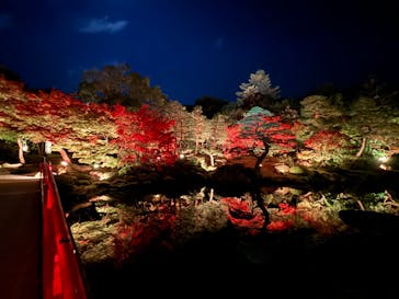 日本庭園　由志園に投稿された画像（2024/11/12）