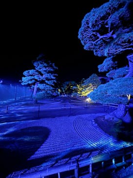 日本庭園　由志園に投稿された画像（2024/11/12）