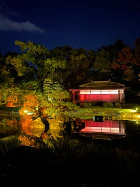 NAKED meets 二条城 2025 観月に投稿された画像（2024/11/12）