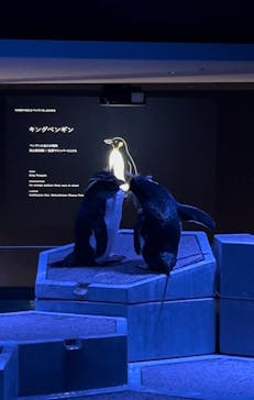 AOAO SAPPOROに投稿された画像（2024/11/12）