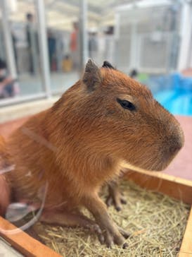 竹島水族館に投稿された画像（2024/11/12）