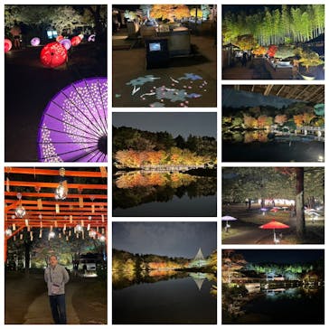 国営昭和記念公園 秋の夜散歩に投稿された画像（2024/11/12）