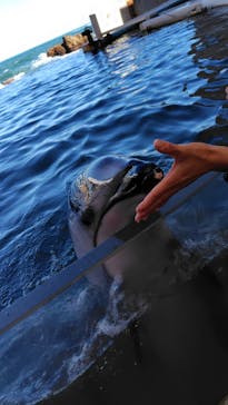 城崎マリンワールドに投稿された画像（2024/11/12）