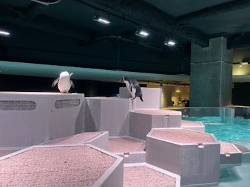 AOAO SAPPOROに投稿された画像（2024/11/12）