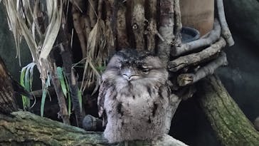 那須どうぶつ王国に投稿された画像（2024/11/12）