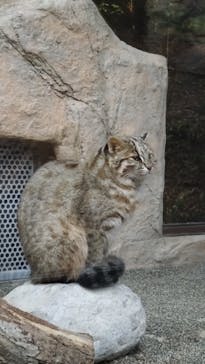 那須どうぶつ王国に投稿された画像（2024/11/12）