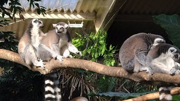 那須どうぶつ王国に投稿された画像（2024/11/12）