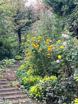 横浜イングリッシュガーデンに投稿された画像（2024/11/12）