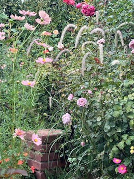 横浜イングリッシュガーデンに投稿された画像（2024/11/12）