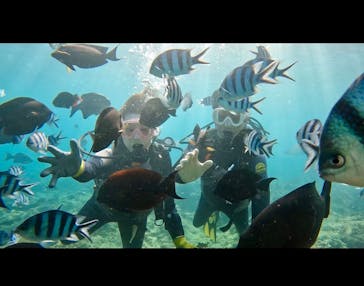 武藤潜水に投稿された画像（2024/11/12）