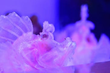 マクセル アクアパーク品川に投稿された画像（2024/11/12）