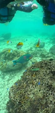 武藤潜水に投稿された画像（2024/11/12）