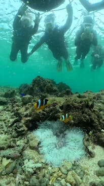 武藤潜水に投稿された画像（2024/11/12）