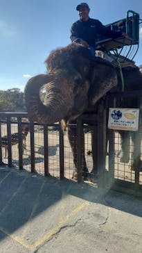 那須サファリパークに投稿された画像（2024/11/12）