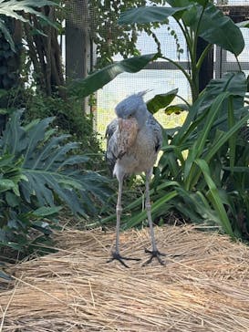 神戸どうぶつ王国に投稿された画像（2024/11/13）