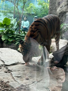 神戸どうぶつ王国に投稿された画像（2024/11/13）