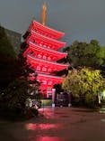 博多ライトアップウォーク実行委員会に投稿された画像（2024/11/13）