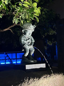博多ライトアップウォーク実行委員会に投稿された画像（2024/11/13）