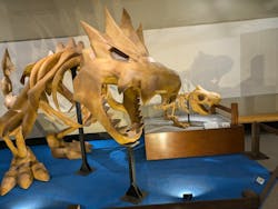 岐阜県博物館に投稿された画像（2024/11/13）