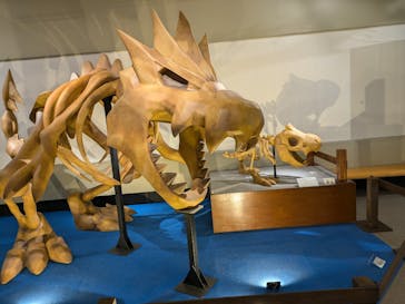 岐阜県博物館に投稿された画像（2024/11/13）