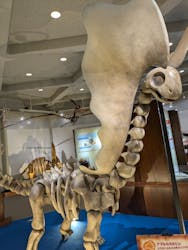 岐阜県博物館に投稿された画像（2024/11/13）