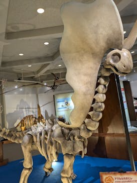 岐阜県博物館に投稿された画像（2024/11/13）