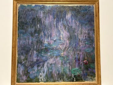 モネ 睡蓮のとき（国立西洋美術館）に投稿された画像（2024/11/13）