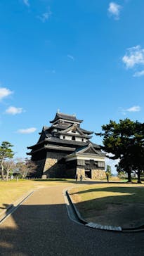 松江城に投稿された画像（2024/11/13）