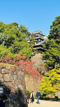 松江城に投稿された画像（2024/11/13）