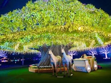 東京メガイルミに投稿された画像（2024/11/13）