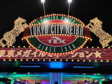 東京メガイルミに投稿された画像（2024/11/13）