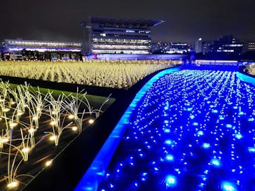 東京メガイルミに投稿された画像（2024/11/13）