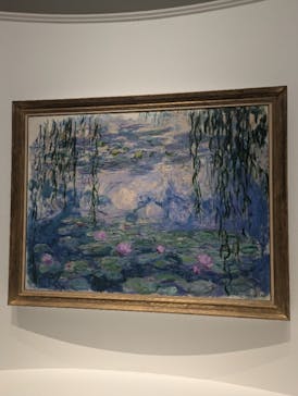 モネ 睡蓮のとき（国立西洋美術館）に投稿された画像（2024/11/13）