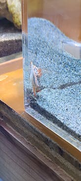 伊豆・三津シーパラダイスに投稿された画像（2024/11/13）