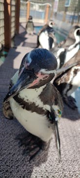 伊豆・三津シーパラダイスに投稿された画像（2024/11/13）