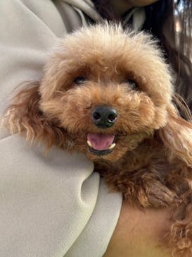 つくばわんわんランドに投稿された画像（2024/11/13）