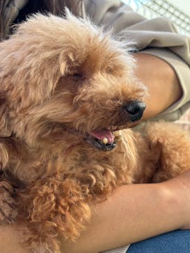 つくばわんわんランドに投稿された画像（2024/11/13）