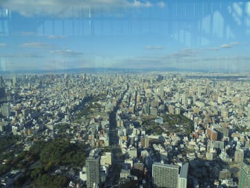 ハルカス300(展望台)に投稿された画像（2024/11/13）