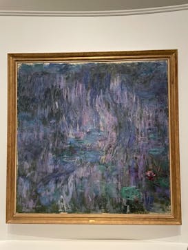 モネ 睡蓮のとき（国立西洋美術館）に投稿された画像（2024/11/13）